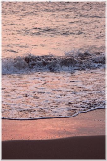 $よめ膳＠YOMEカフェ