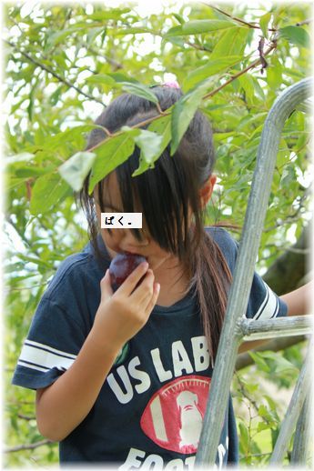 $よめ膳@YOMEカフェ