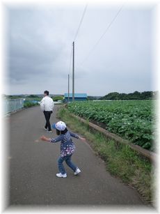 $よめ膳@YOMEカフェ