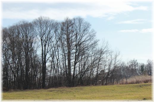 $よめ膳@YOMEカフェ