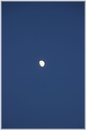 $よめ膳＠YOMEカフェ