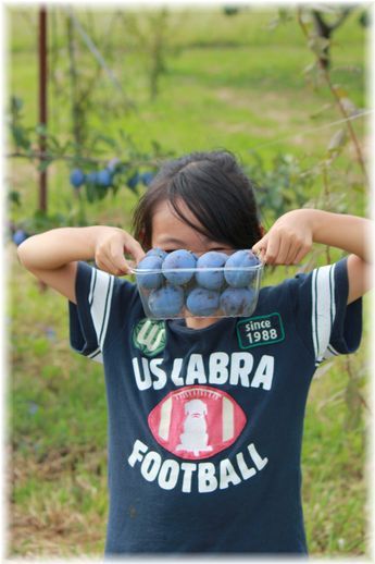 $よめ膳@YOMEカフェ