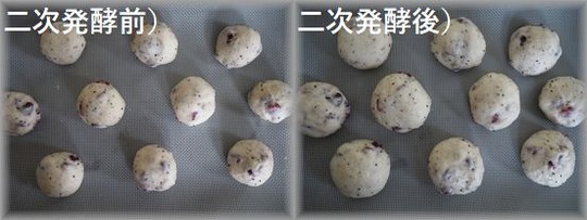 P1017661