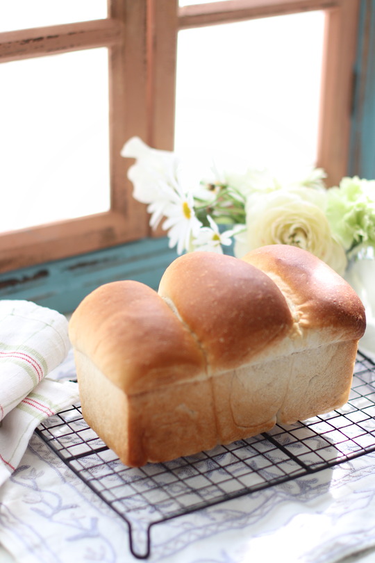  【レシピ】全粒粉とはちみつの食パン。と　お礼参り。