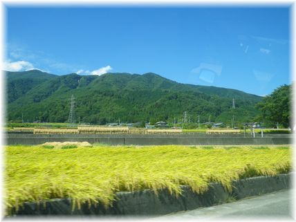 $よめ膳＠YOMEカフェ