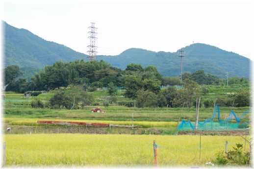 $よめ膳＠YOMEカフェ