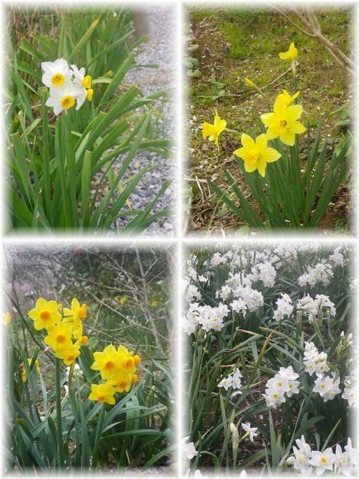 $よめ膳@YOMEカフェ