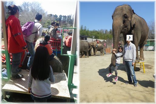 $よめ膳@YOMEカフェ