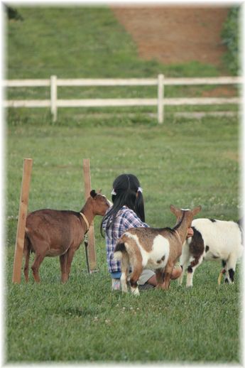 $よめ膳＠YOMEカフェ