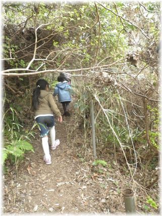 $よめ膳@YOMEカフェ