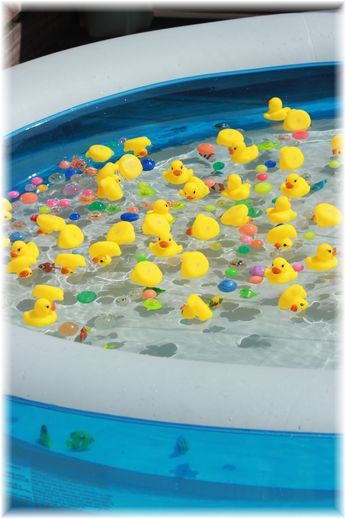 $よめ膳＠YOMEカフェ