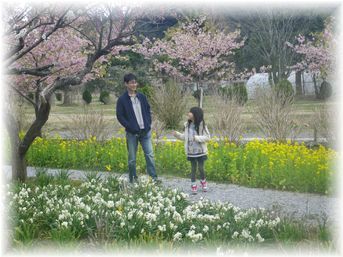 $よめ膳@YOMEカフェ