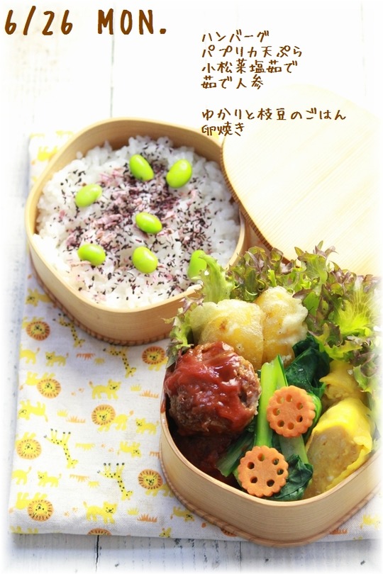 1aykogIMG_6776