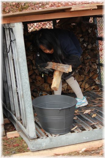 $よめ膳@YOMEカフェ