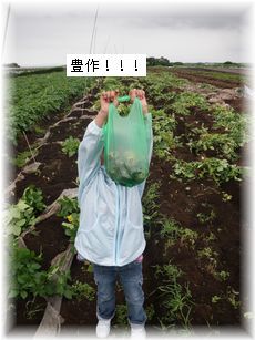 $よめ膳@YOMEカフェ