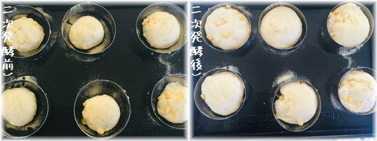 IMG-4828