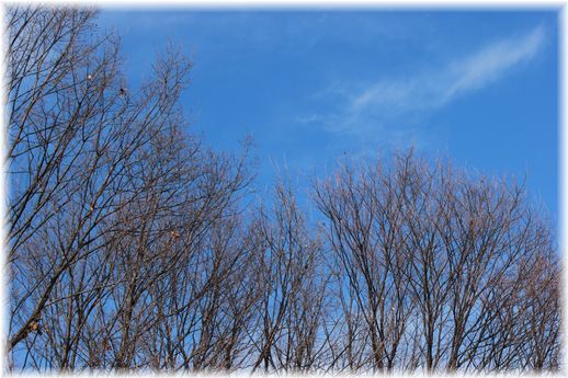 $よめ膳@YOMEカフェ