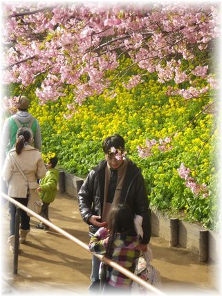 $よめ膳＠YOMEカフェ