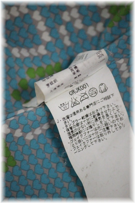 1aaaykogIMG_2081