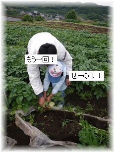 よめ膳@YOMEカフェ