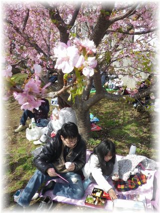 $よめ膳＠YOMEカフェ