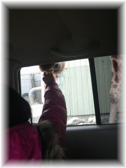 $よめ膳@YOMEカフェ