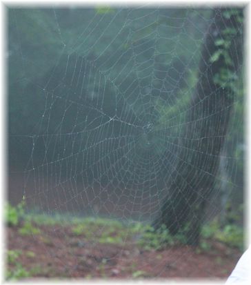 よめ膳＠YOMEカフェ