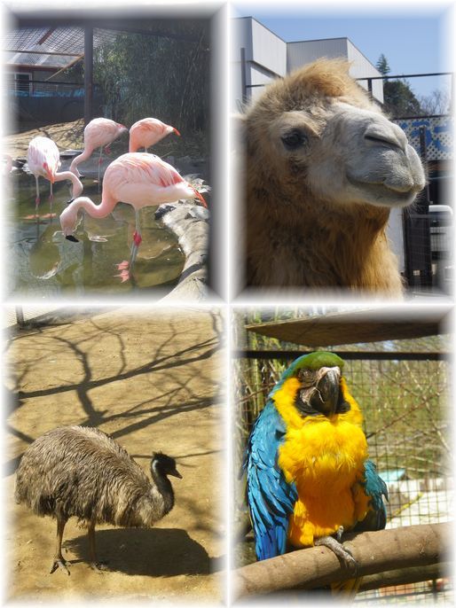 $よめ膳@YOMEカフェ