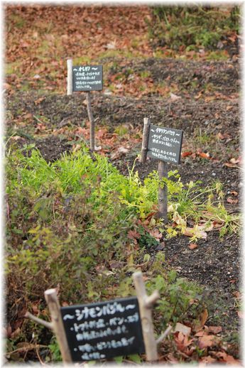 $よめ膳＠YOMEカフェ