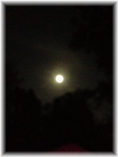 $よめ膳＠YOMEカフェ