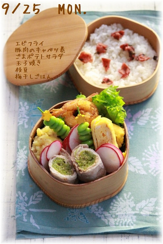 1aaykogIMG_0274