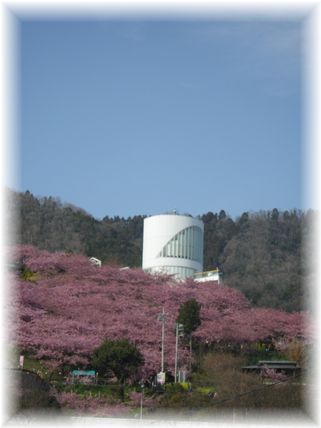 $よめ膳＠YOMEカフェ