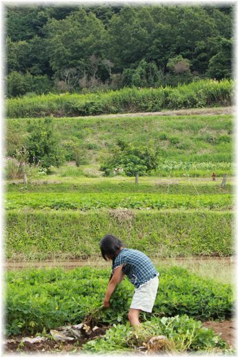 $よめ膳@YOMEカフェ