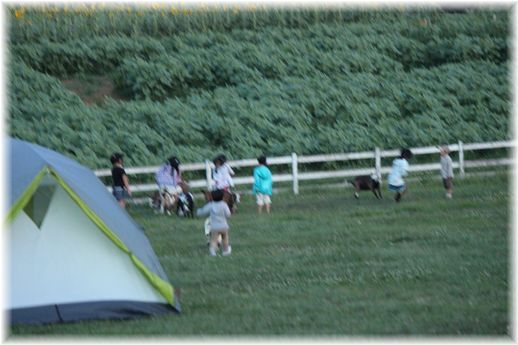 $よめ膳＠YOMEカフェ