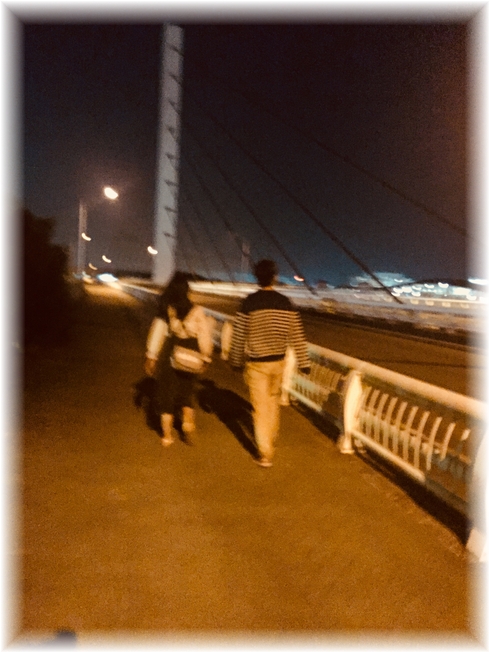 シーパラYHF14