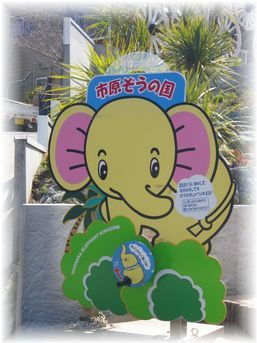 $よめ膳@YOMEカフェ