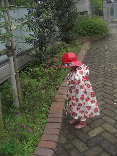 ありがとうございます。＆お知らせ。