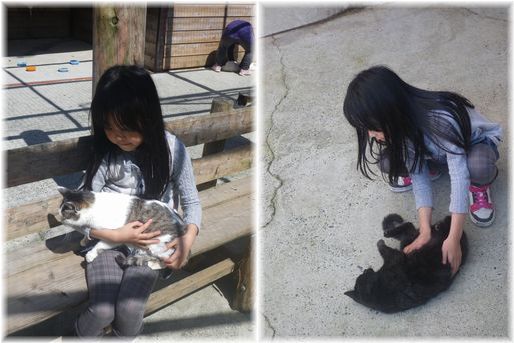 $よめ膳@YOMEカフェ