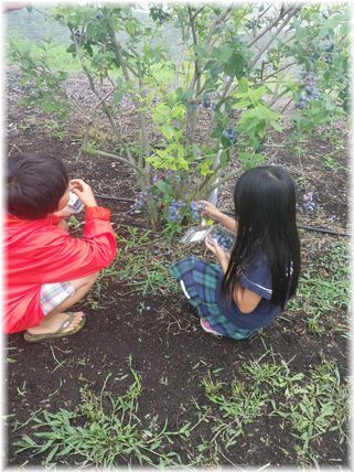 $よめ膳＠YOMEカフェ