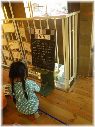 $よめ膳@YOMEカフェ