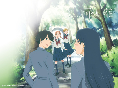 青い花アニメ000