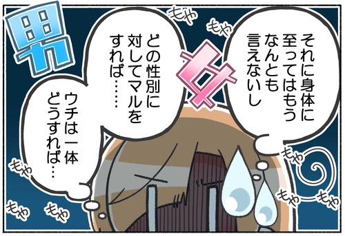 【元男子】性別移行初期の性別欄の話【ジェンダー】