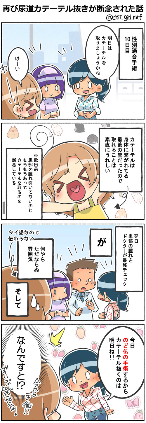 再び尿道カテーテル抜きが断念された話