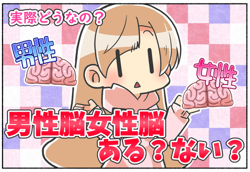 【男性脳・女性脳】男女の脳の違いはあるのかないのか？【ジェンダー】