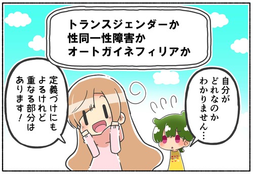 【疑問】トランスジェンダーか、性同一性障害か、オートガイネフィリアか？