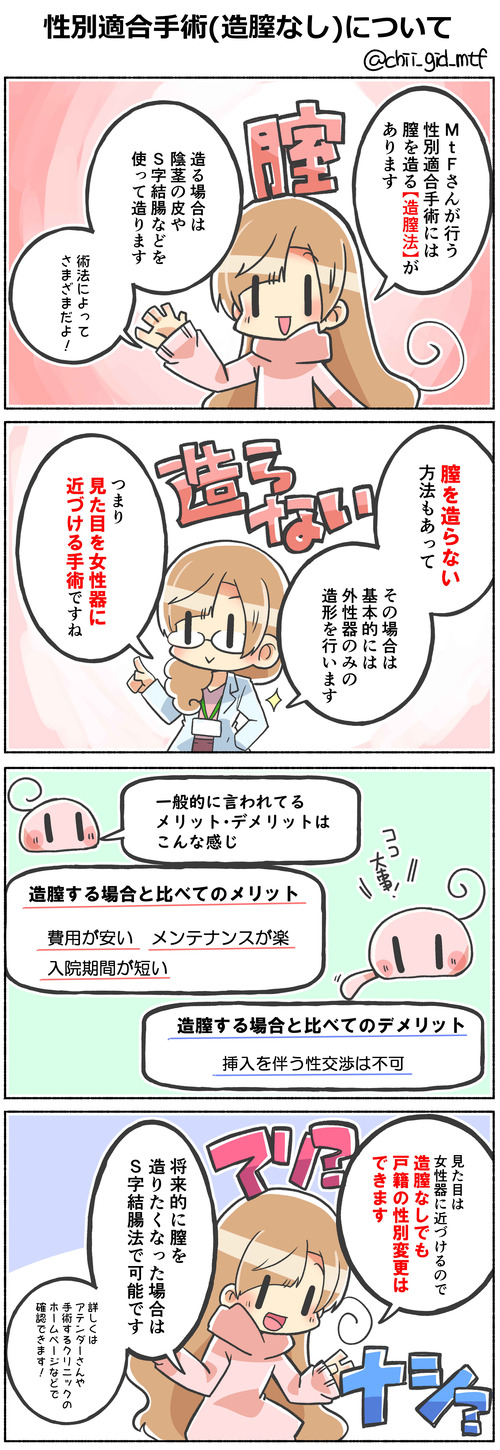 性別適合手術(造膣なし)について