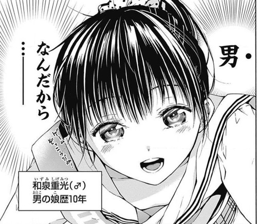 ボーイスカート05