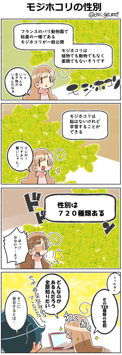 モジホコリの性別