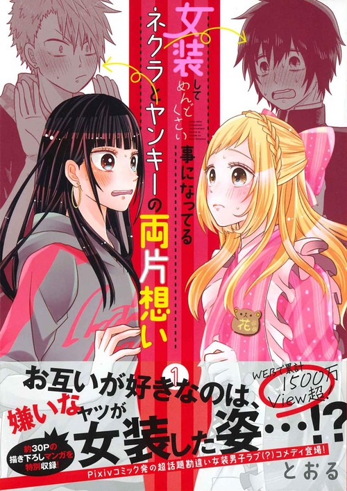 女装してめんどくさい事になってる