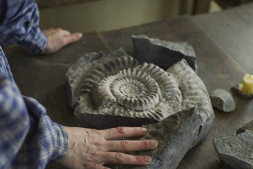 アンモナイトの目覚め03